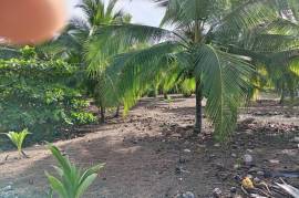 Excellent Beachfront land for sale in Quepos Costa