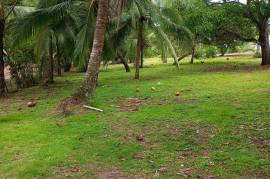 Excellent Beachfront land for sale in Quepos Costa