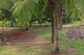 Excellent Beachfront land for sale in Quepos Costa