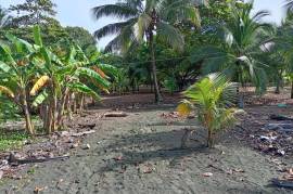 Excellent Beachfront land for sale in Quepos Costa