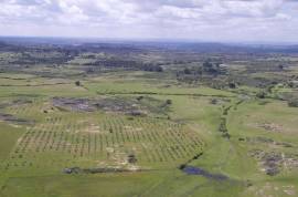 Farm on Certified Organic Land in Monsanto