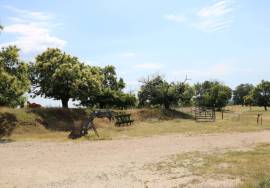 Farm on Certified Organic Land in Monsanto