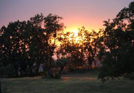 Farm on Certified Organic Land in Monsanto