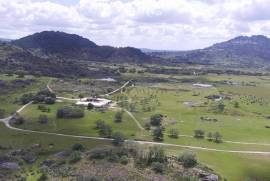 Farm on Certified Organic Land in Monsanto