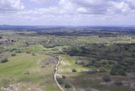 Farm on Certified Organic Land in Monsanto