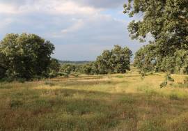 Farm on Certified Organic Land in Monsanto