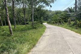 5 Rai Rubber Plantation Surrounded by Nature for Sale in Na Toei, Phangnga