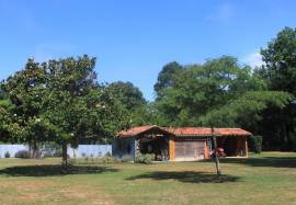 Stunning Character Property with Gite and Pool in the Heart of the Landes Forest