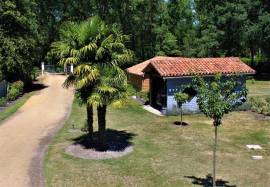 Stunning Character Property with Gite and Pool in the Heart of the Landes Forest