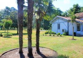 Stunning Character Property with Gite and Pool in the Heart of the Landes Forest