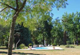 Stunning Character Property with Gite and Pool in the Heart of the Landes Forest