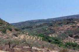 Large plot with olive trees just 7km from the sea in Achladia, Sitias.