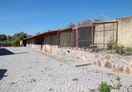 4 bedroom farm with 535 m2 of construction - Plot of land of 15,000 m2 - Elvas - Alentejo - Portugal