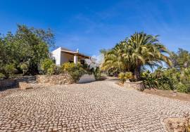 Very attractive and private 6 bedroom quinta with annex & pool  in 4,400m2 of land near São Brás de Alportel.