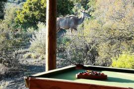 Luxurious 3 Bedroom Retreat in Touwsberg Private Game and Nature Reserve South