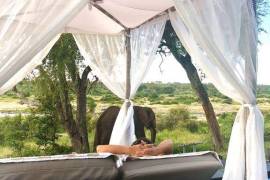 N’Wambu Safari Lodge in Mjejane Game Reserve For Sale in Hectorspruit South