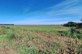 Land for sale 90366 sqm in Braila, Romania