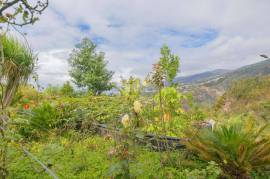 Farm in Bom Sucesso, Funchal with 3580m2 | SEA VIEW | MOUNTAIN VIEW