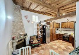 Spectacular farm with villa 5 minutes from Chaves