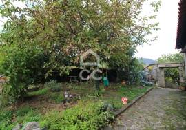 Typical Restaurant, in stone, with surrounding vineyard plantation in a village near Chaves