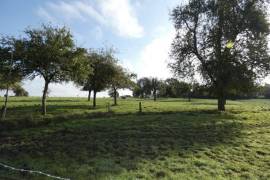 Former Farm Complex of Several Buildings