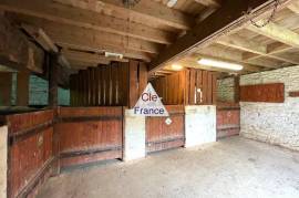 Huge Country House with Equestrian Facilities and Outbuildings