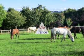 Huge Country House with Equestrian Facilities and Outbuildings