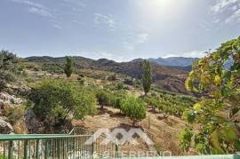 For sale, Finca, Alcaucín, Málaga, Andalucía