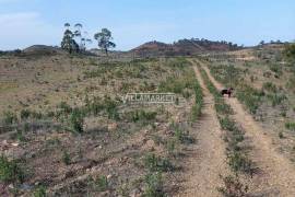 Rustic land with 182 250 m2 located in the Municipality of Ourique - Alentejo