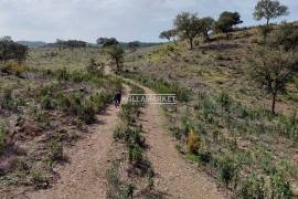 Rustic land with 182 250 m2 located in the Municipality of Ourique - Alentejo