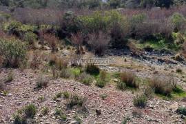 Rustic land with 182 250 m2 located in the Municipality of Ourique - Alentejo