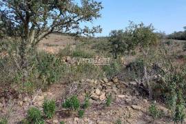 Rustic land with 182 250 m2 located in the Municipality of Ourique - Alentejo