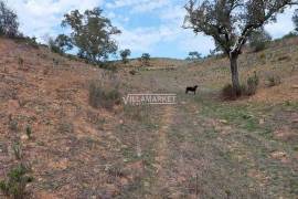 Rustic land with 182 250 m2 located in the Municipality of Ourique - Alentejo