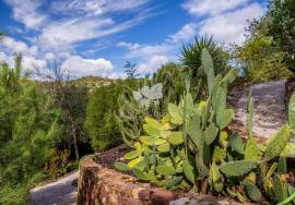 Detached 3 bedroom villa with a small ruin & garden in quiet location, near Santa Catarina.