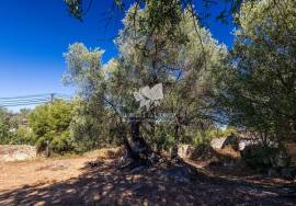 Large old country house for complete renovation project near Moncarapacho In East Algarve.