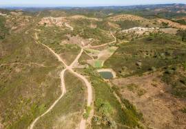 Magnificent 1 ha farm with housing and water Salir - Loulé