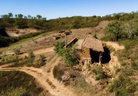 Magnificent 1 ha farm with housing and water Salir - Loulé