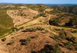 Magnificent 1 ha farm with housing and water Salir - Loulé