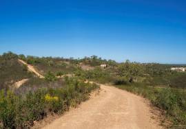 Magnificent 1 ha farm with housing and water Salir - Loulé