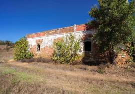 Magnificent 1 ha farm with housing and water Salir - Loulé