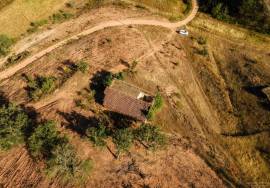 Magnificent 1 ha farm with housing and water Salir - Loulé