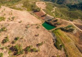 Magnificent 1 ha farm with housing and water Salir - Loulé