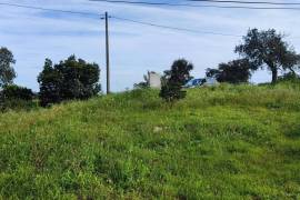 Pasture land in Salir- Loulé with water and electricity