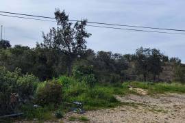 Pasture land in Salir- Loulé with water and electricity