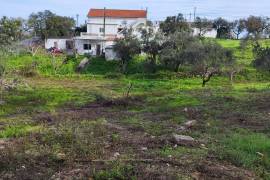 Pasture land in Salir- Loulé with water and electricity