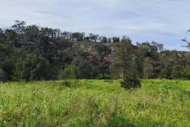 Pasture land in Salir- Loulé with water and electricity