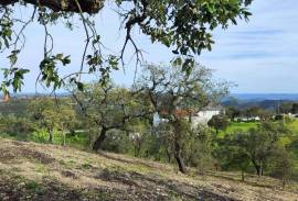 Pasture land in Salir- Loulé with water and electricity