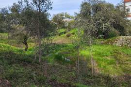 Pasture land in Salir- Loulé with water and electricity