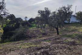 Pasture land in Salir- Loulé with water and electricity