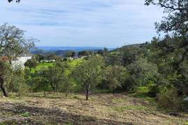 Pasture land in Salir- Loulé with water and electricity